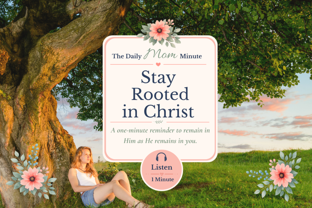 Stay Rooted in Christ